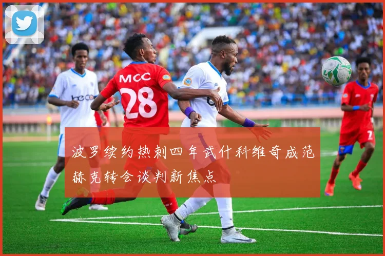 波罗续约热刺四年武什科维奇成范赫克转会谈判新焦点
